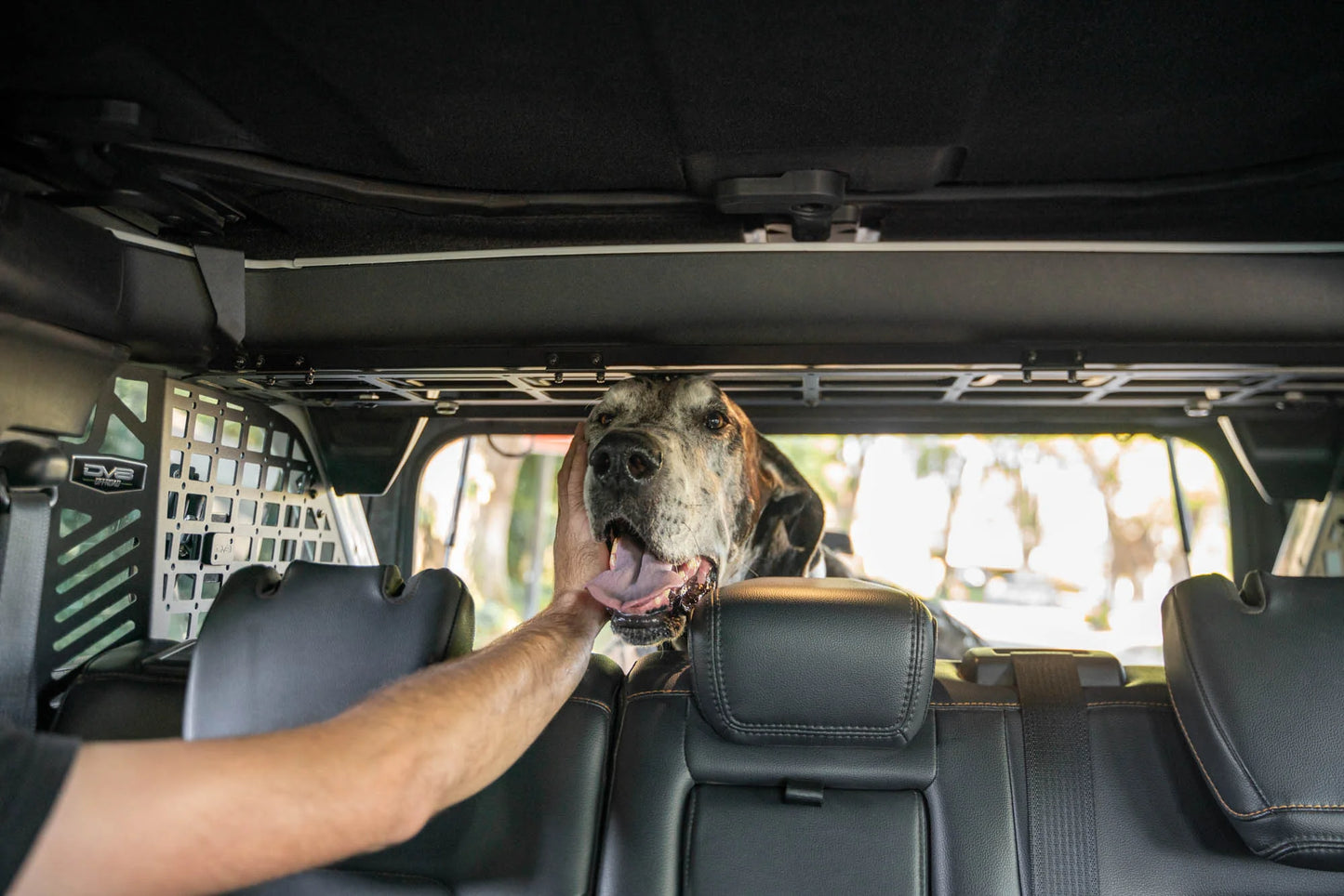 Ford Bronco Rear Cargo/Dog Barrier 4 Door Models