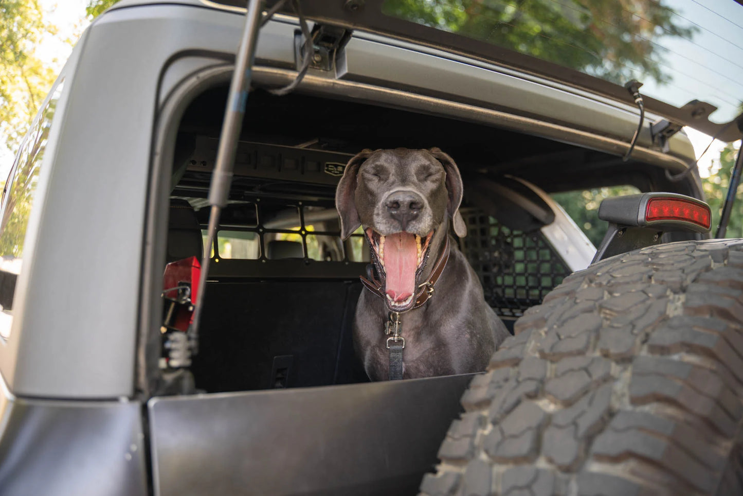Ford Bronco Rear Cargo/Dog Barrier 4 Door Models
