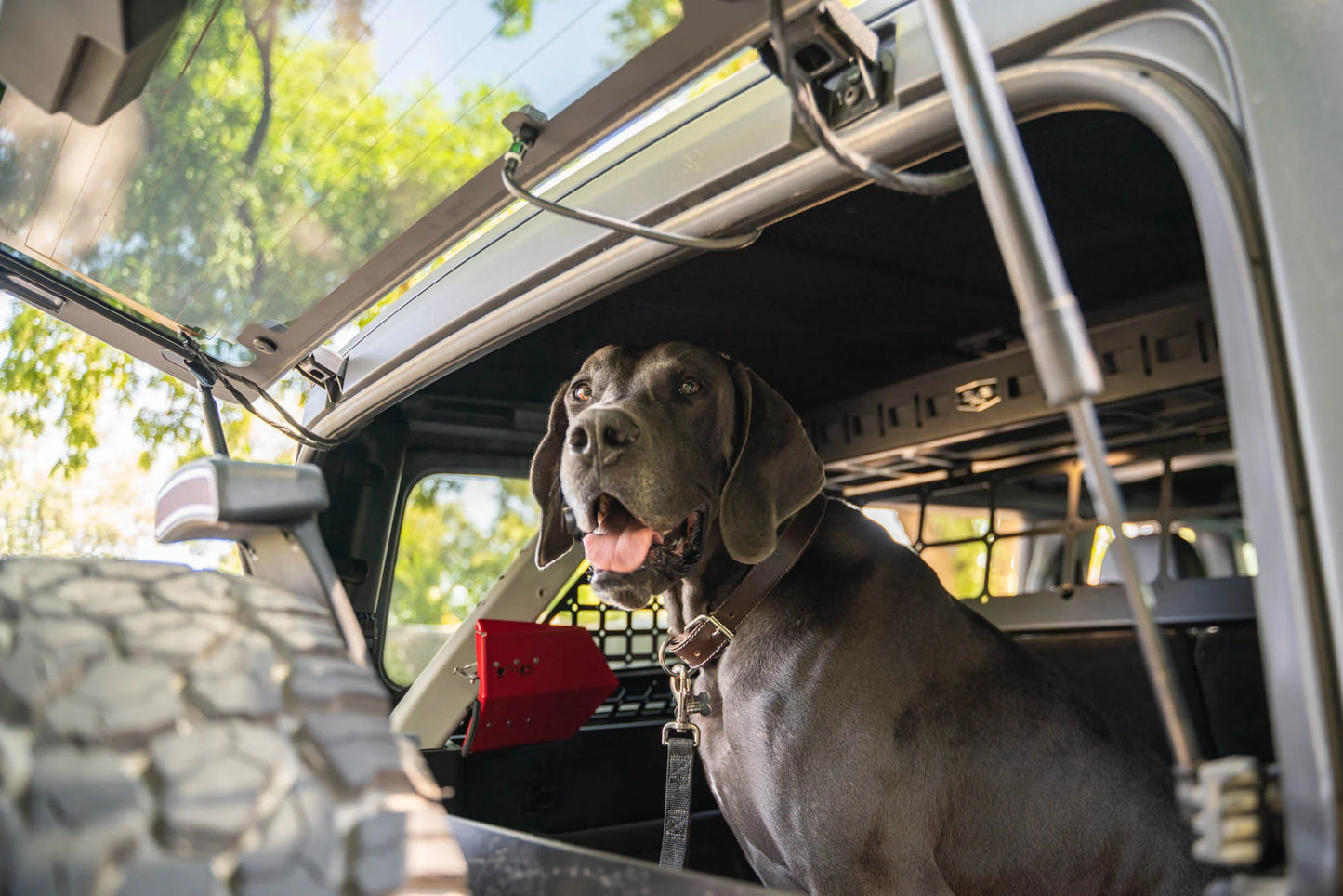 Ford Bronco Rear Cargo/Dog Barrier 4 Door Models