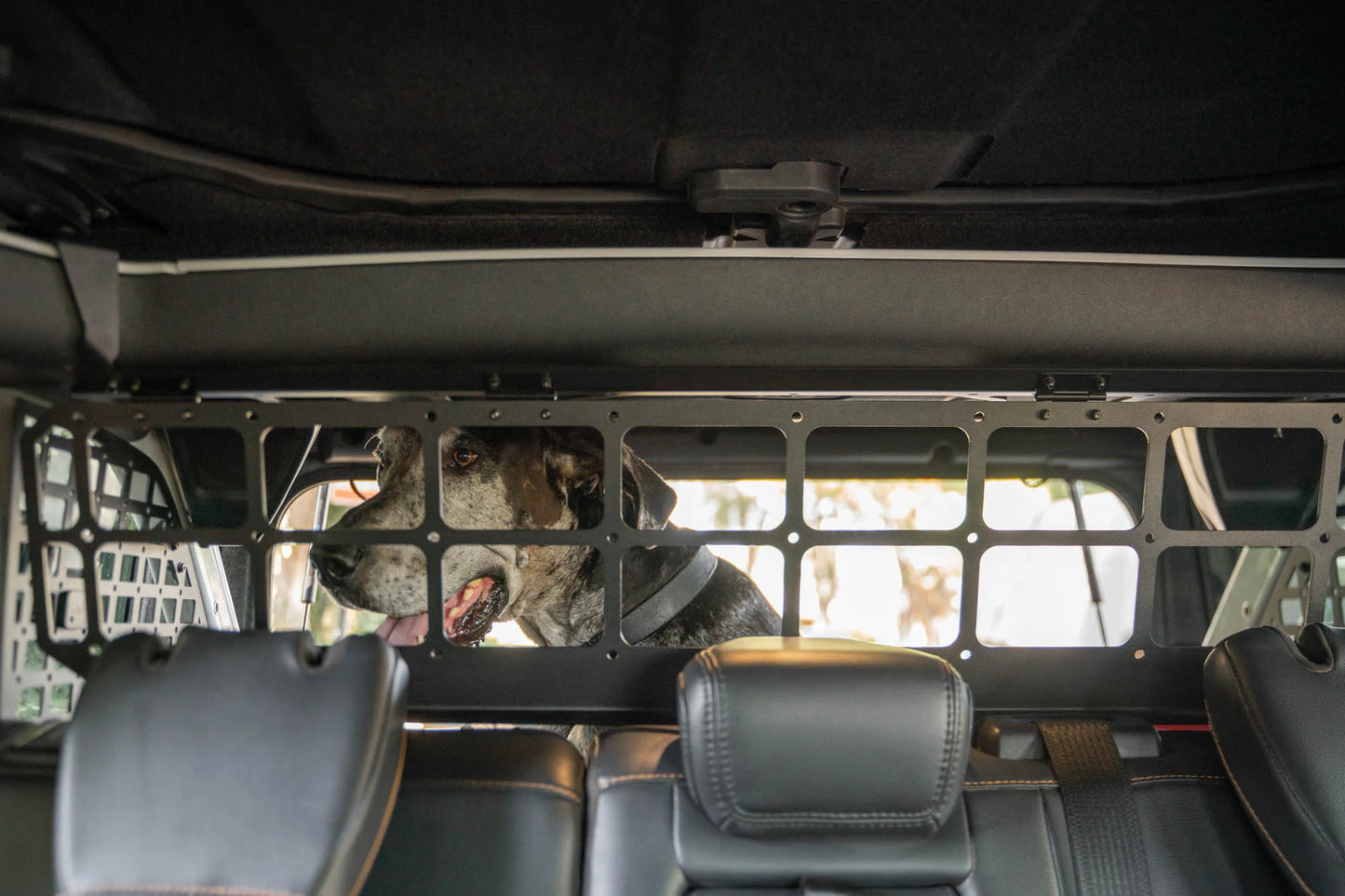 Ford Bronco Rear Cargo/Dog Barrier 4 Door Models