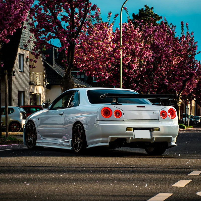 R34 Skyline GT GT-R 2D Coupe BNR ENR ER HR Skylight/LED taillights Red Clear